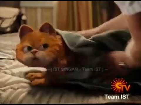 Garfield 2004 Tamil Dubbed Movie Download Tamilrockers